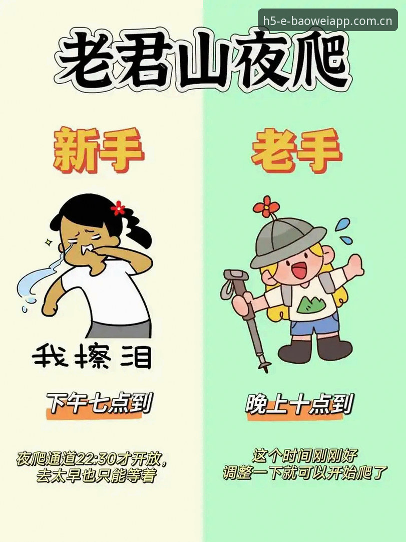 新手 vs 老手：宝威体育使用教程常见问题对比解析